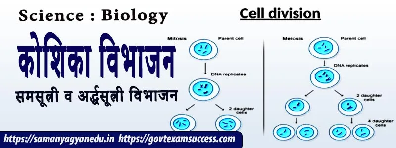 कोशिका विभाजन | समसूत्री व अर्द्धसूत्री विभाजन | Biology : Cell division