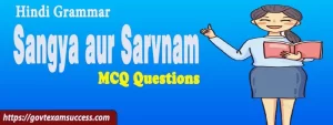 Sangya aur Sarvnam MCQ Test | Hindi Grammar Quiz