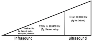 Frequency Range of Hearing in Humans
