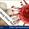 Marburg Virus : Symptoms and Treatment | MVD
